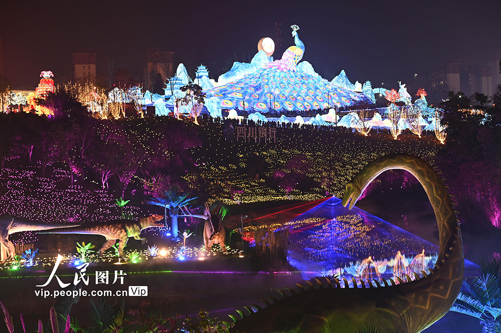四川自貢：璀璨燈會醉游人【4】