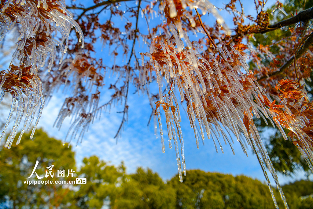 浙江淳安：千島湖畔出現冰凌景觀【4】