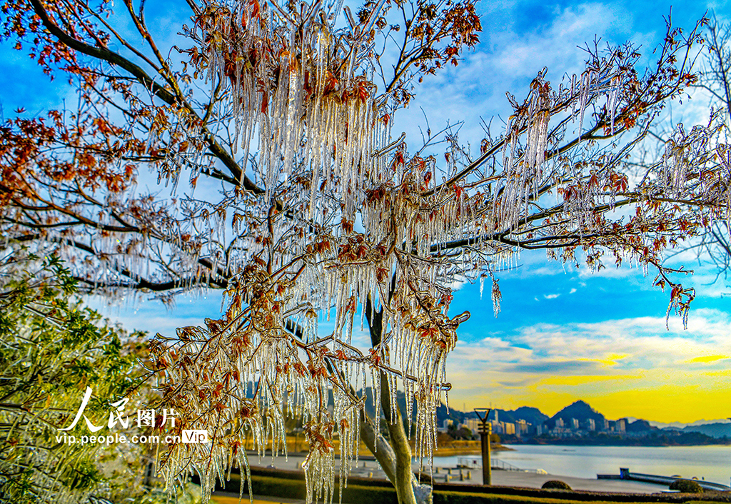 浙江淳安：千島湖畔出現冰凌景觀【5】