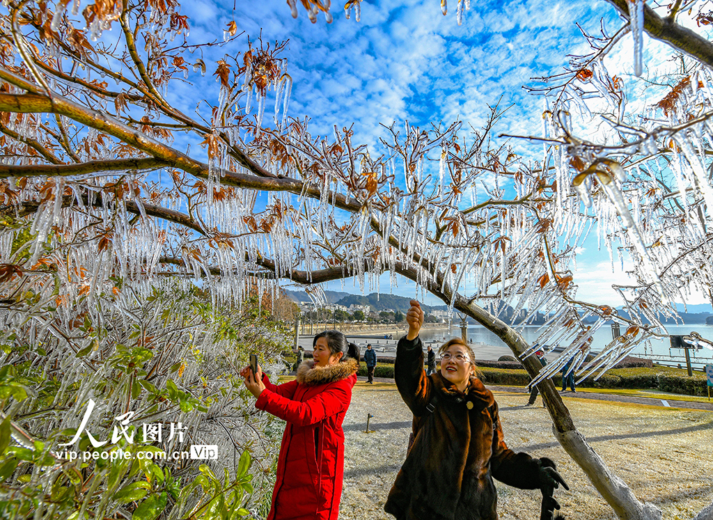 浙江淳安：千島湖畔出現冰凌景觀【3】