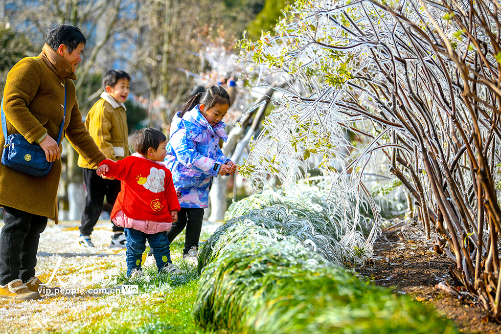 浙江淳安：千島湖畔出現冰凌景觀【2】