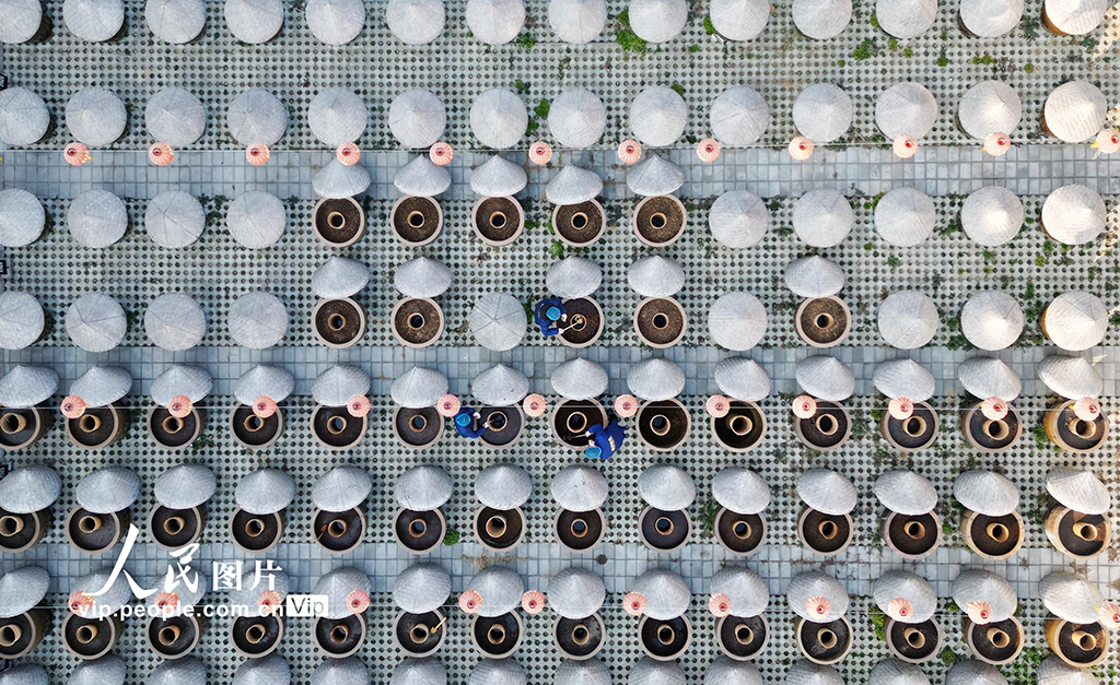 山東滕州：新春至 釀醬忙【3】