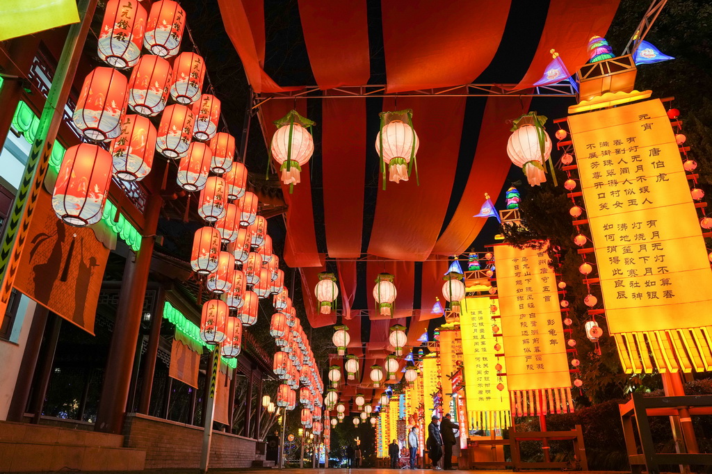 這是1月21日在江蘇南京白鷺洲公園展區拍攝的燈組。