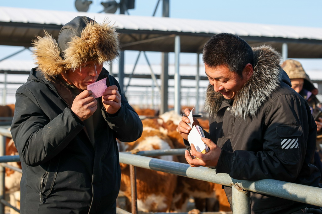 1月22日，在甘南鎮歡喜牲畜交易市場，養牛戶與客商完成交易。
