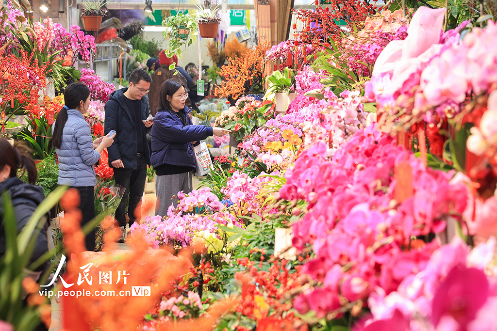 江蘇南京：春節臨近鮮花熱銷【2】