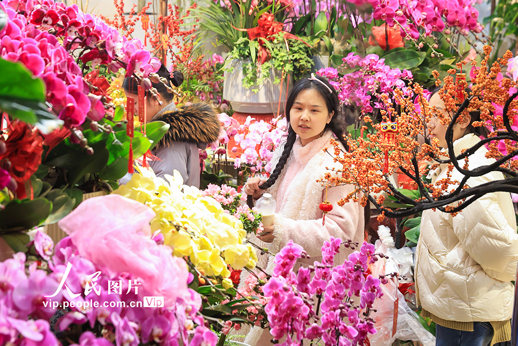 江蘇南京：春節臨近鮮花熱銷【3】