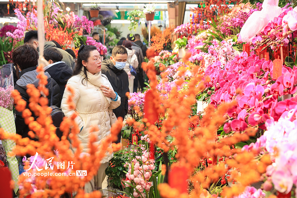 江蘇南京：春節臨近鮮花熱銷【5】