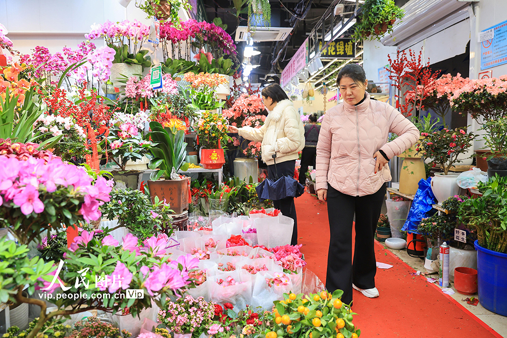 江蘇南京：春節臨近鮮花熱銷【6】