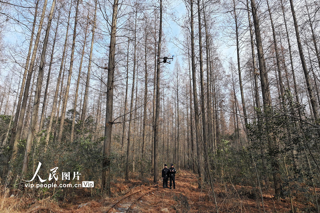 江蘇揚州：堅守崗位 守護景區生態安全【3】