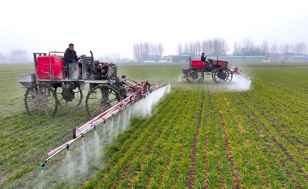 2月2日，在安徽省亳州市利辛縣孫集鎮許溝口村，農民駕駛機械進行田間管理（無人機照片）。新華社發（劉勤利攝）