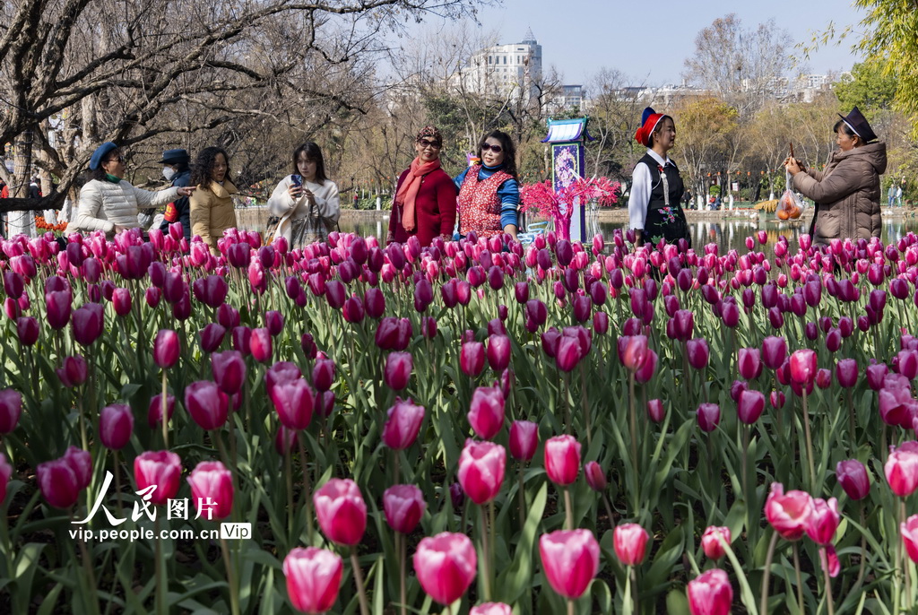 云南昆明：公園賞花 樂享假期