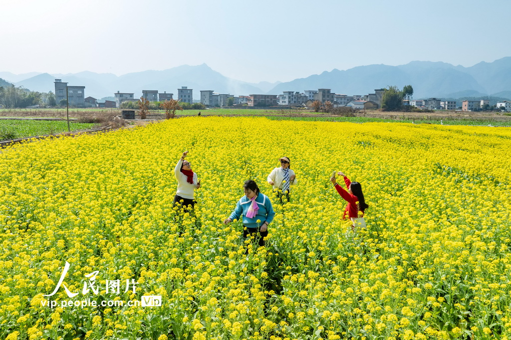 廣西蒙山：春暖花開鄉村美【3】