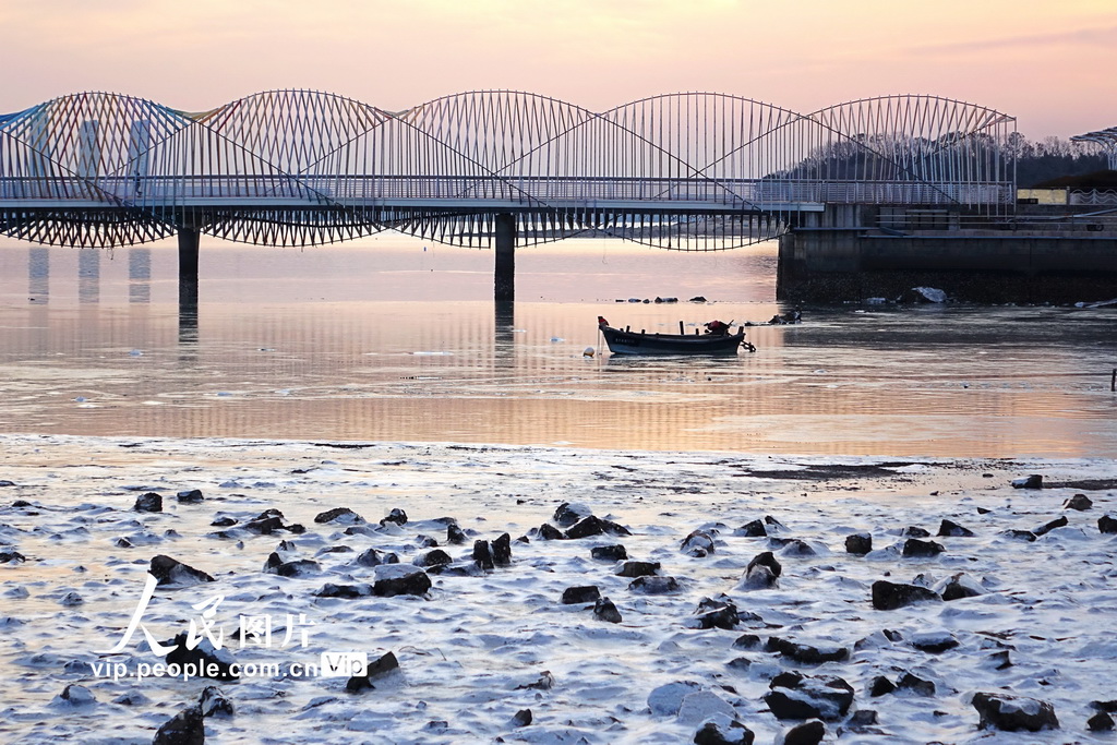 青島唐島灣海濱現大片海冰