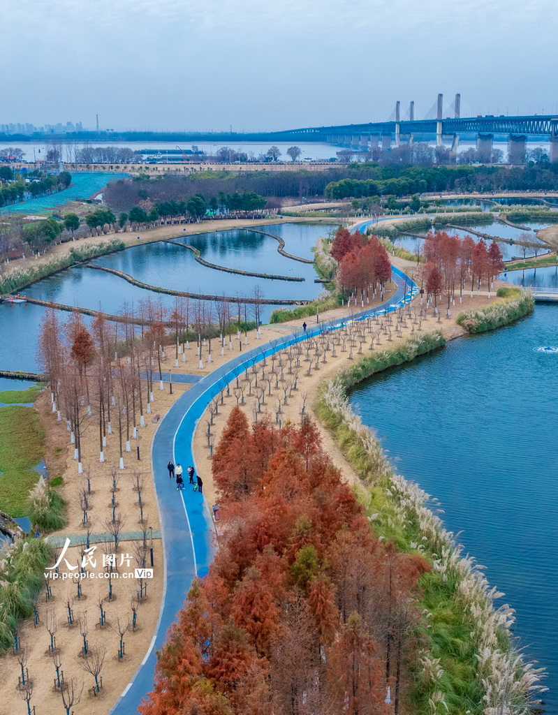 安徽蕪湖：生態公園美如畫【3】