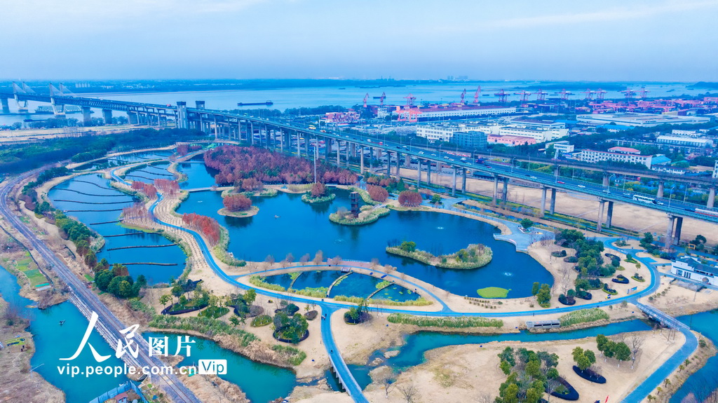 安徽蕪湖：生態公園美如畫【6】