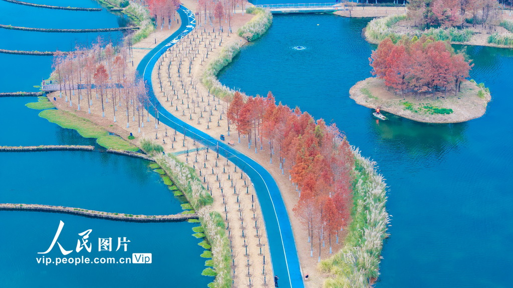 安徽蕪湖：生態公園美如畫