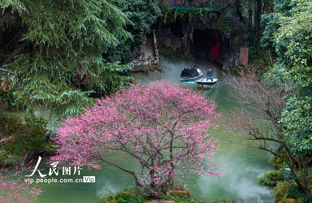 浙江金華：梅花綻放風景宜人【2】