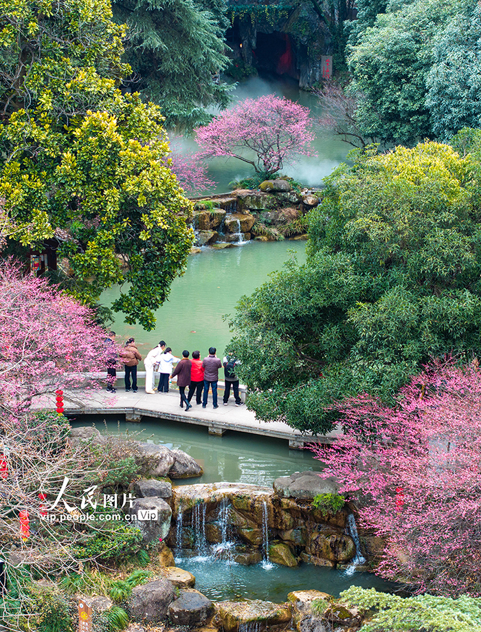 浙江金華：梅花綻放風景宜人【5】