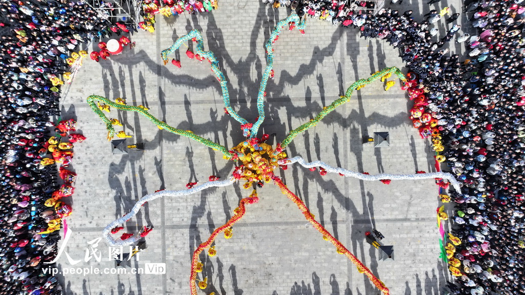 甘肅民樂：舞龍迎元宵【4】