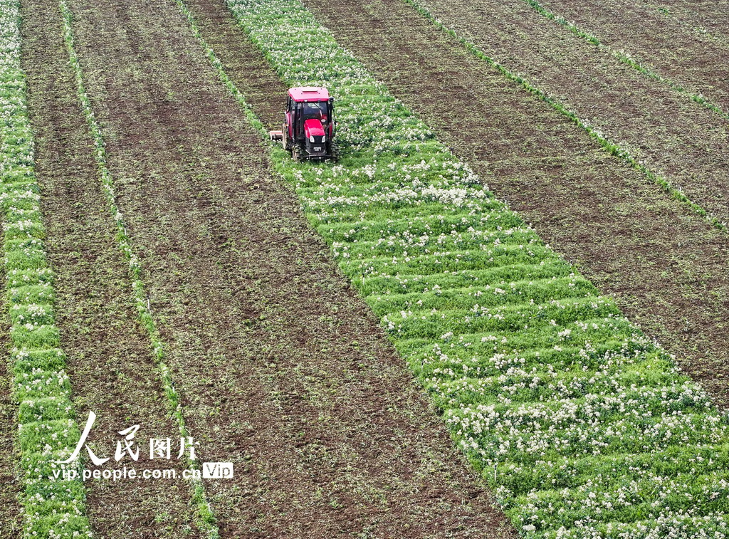 湖南道縣：春耕備耕忙【2】