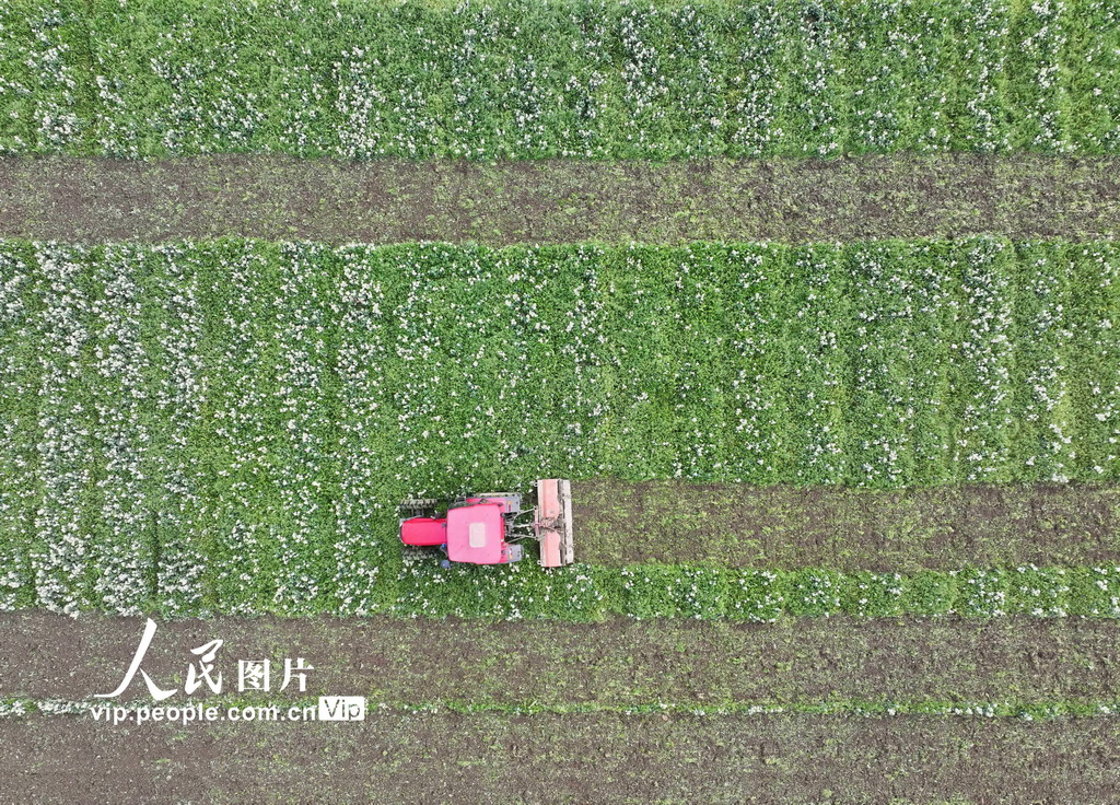 湖南道縣：春耕備耕忙【3】