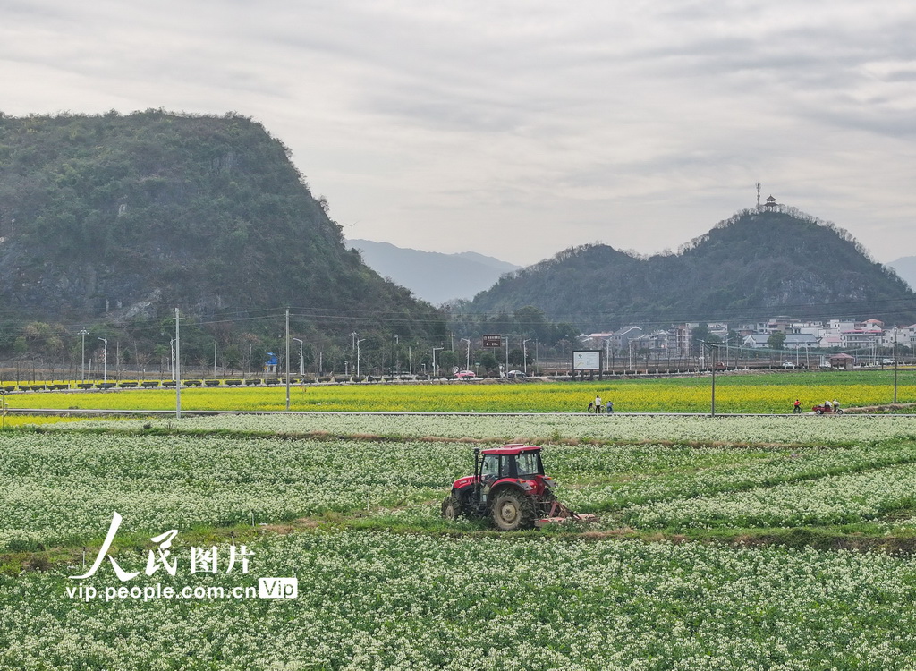 湖南道縣：春耕備耕忙