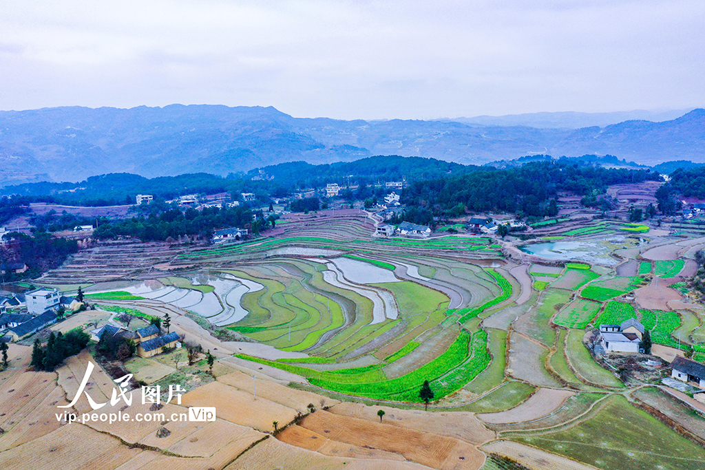 貴州黔西：梯田蓄水備春耕【4】