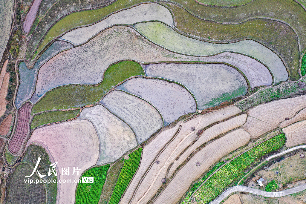 貴州黔西：梯田蓄水備春耕【3】