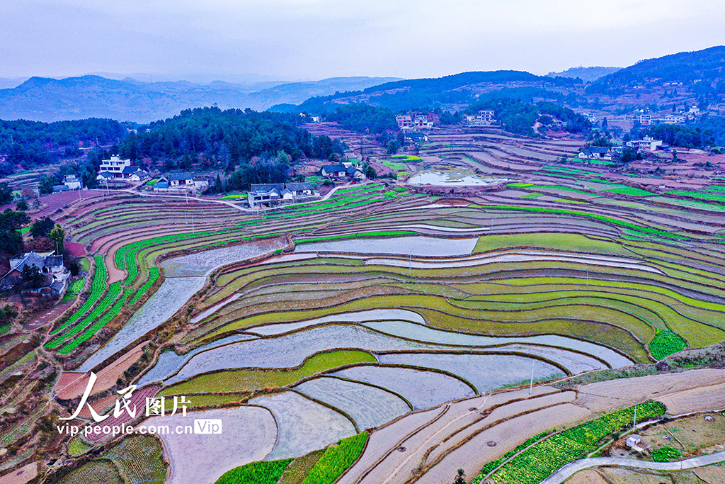 貴州黔西：梯田蓄水備春耕