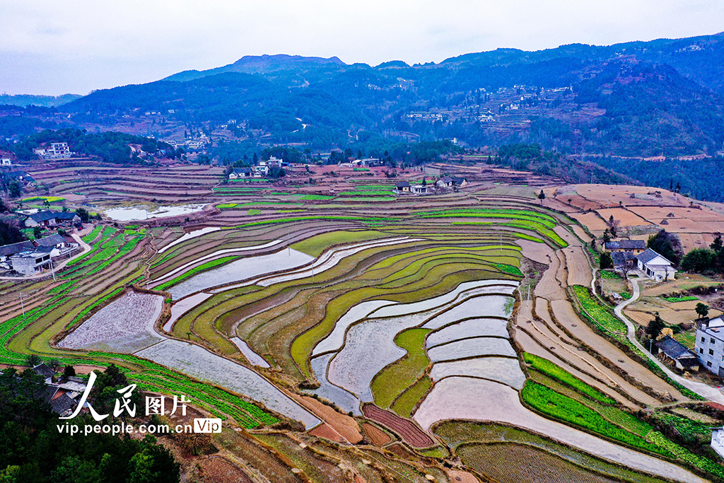 貴州黔西：梯田蓄水備春耕【5】