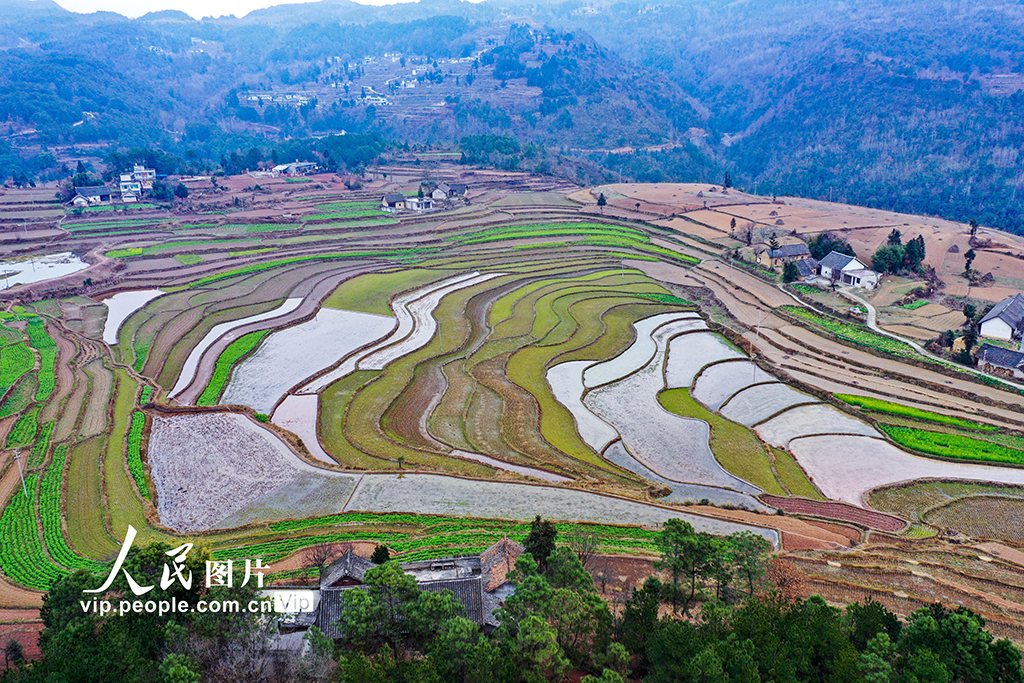 貴州黔西：梯田蓄水備春耕【6】
