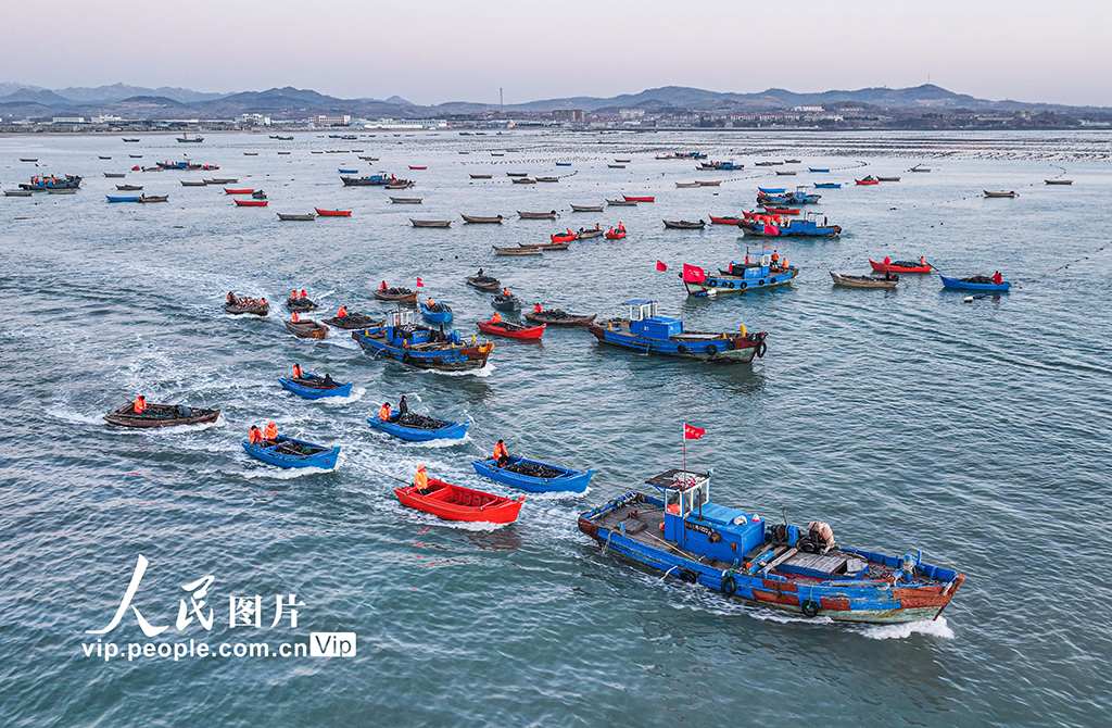 海上養殖作業忙【3】