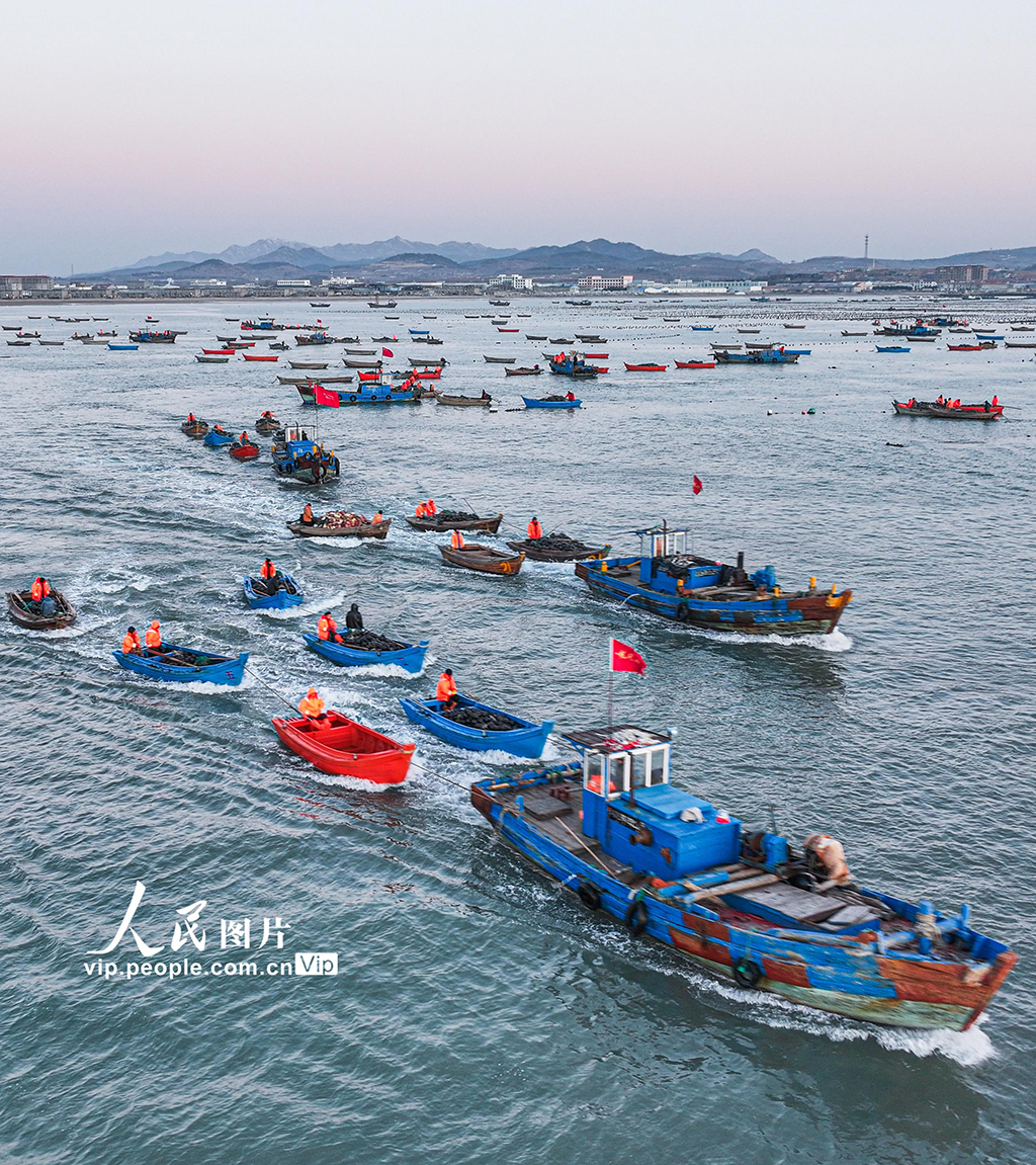 海上養殖作業忙【4】