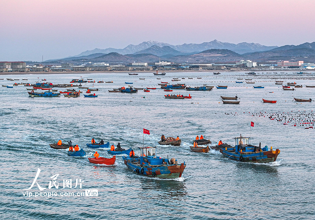 海上養殖作業忙【5】