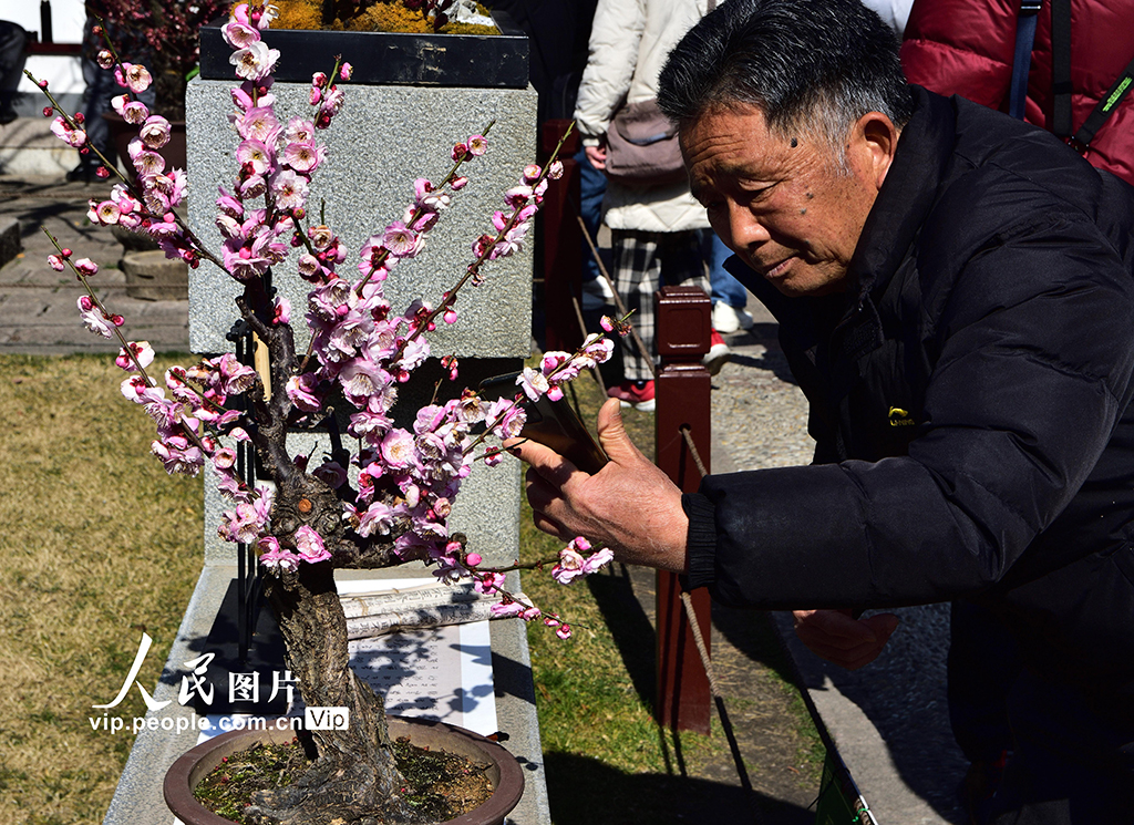 上海：古猗園賞梅【2】