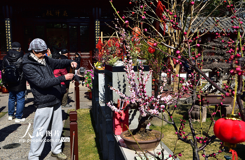 上海：古猗園賞梅【3】