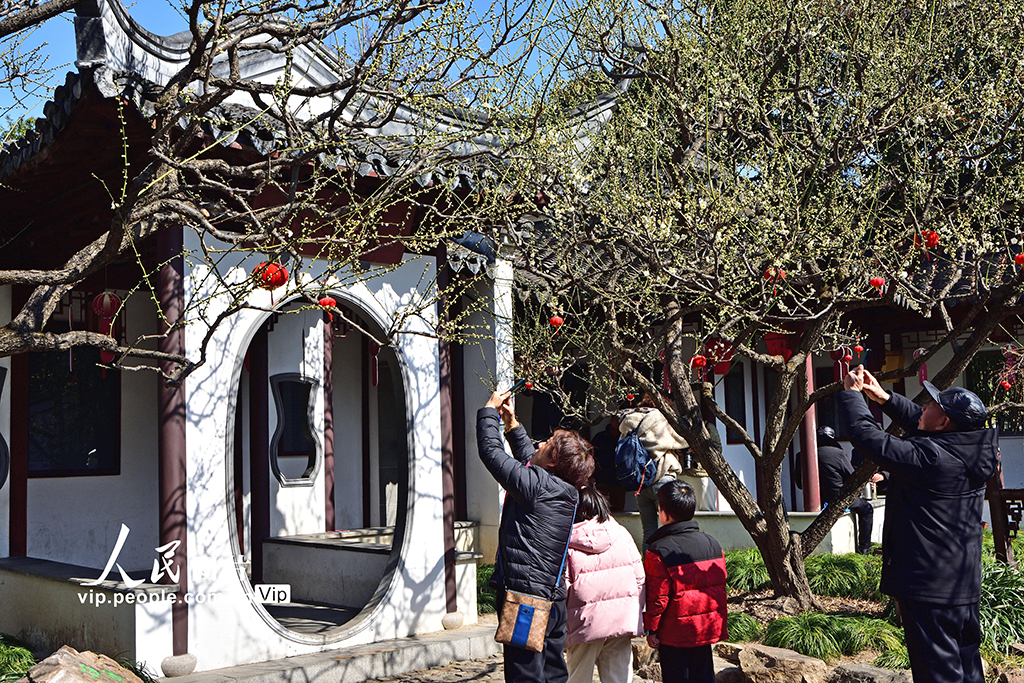 上海：古猗園賞梅【5】