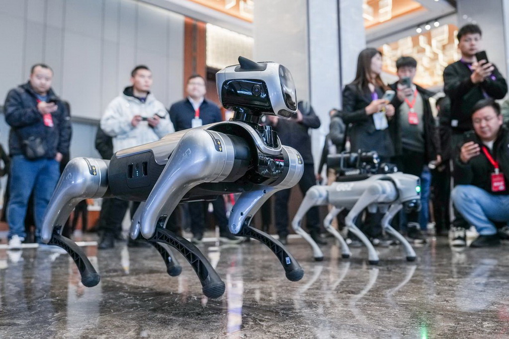 2月14日，觀眾在活動現場觀看機器狗表演。