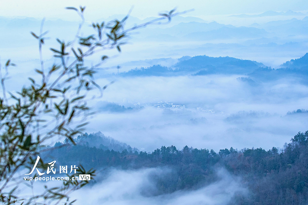 安徽休寧：鄉村云海 