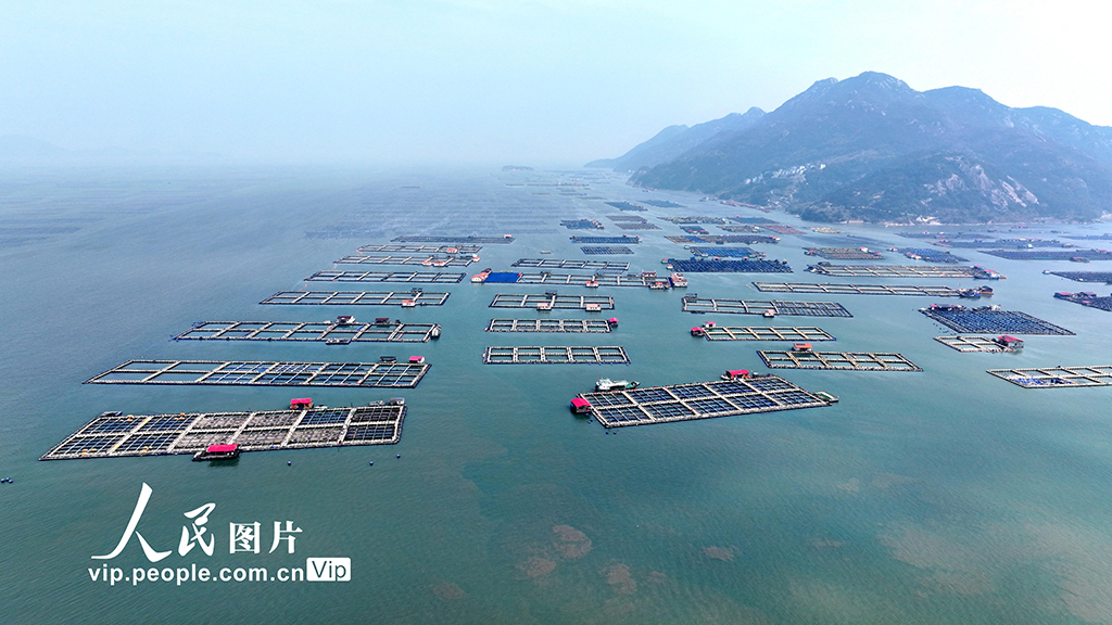 福建寧德：海上養殖基地