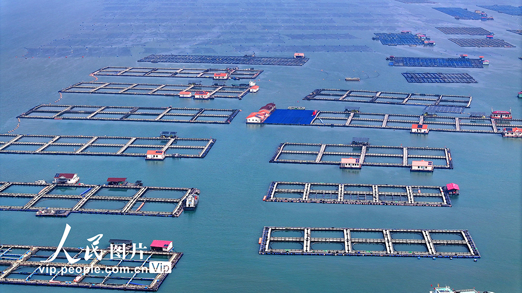 福建寧德：海上養殖基地【2】