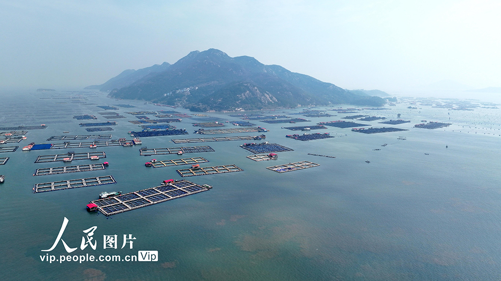 福建寧德：海上養殖基地【3】
