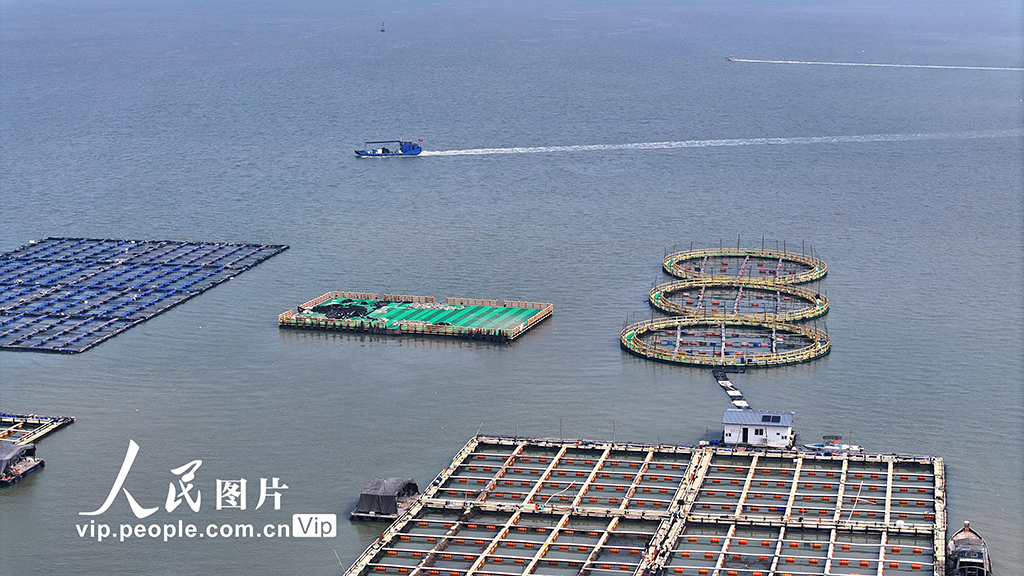 福建寧德：海上養殖基地【6】