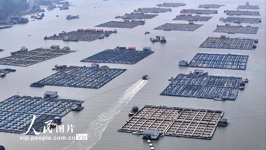 福建寧德：海上養殖基地【7】