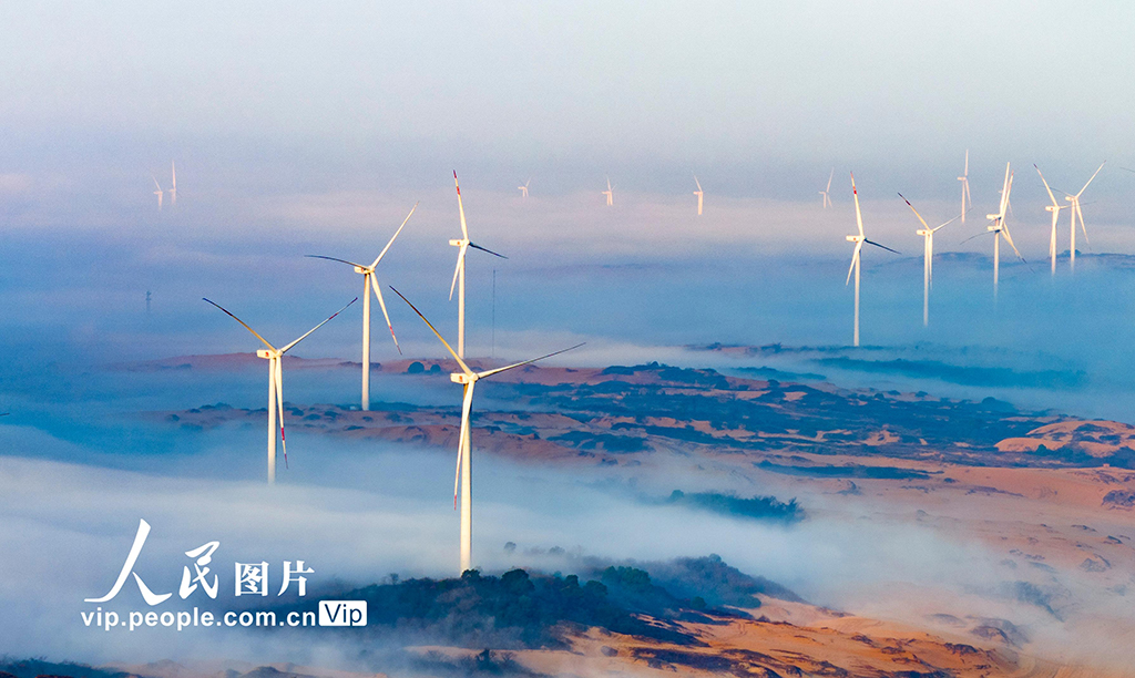 江西鄱陽湖：“風”景如畫【2】
