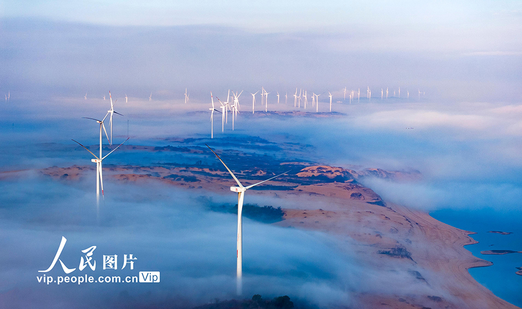 江西鄱陽湖：“風”景如畫【4】