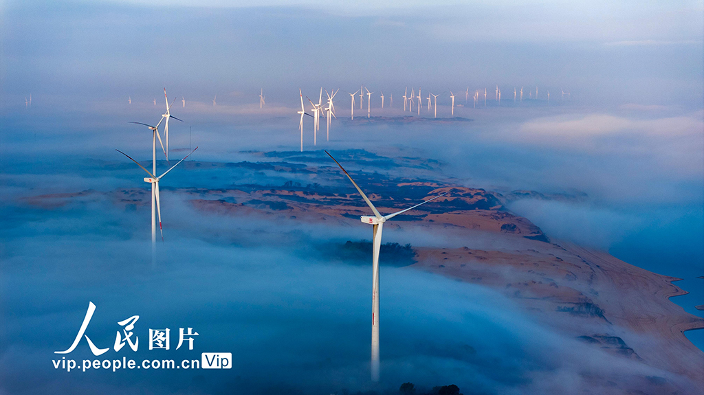 江西鄱陽湖：“風”景如畫【6】