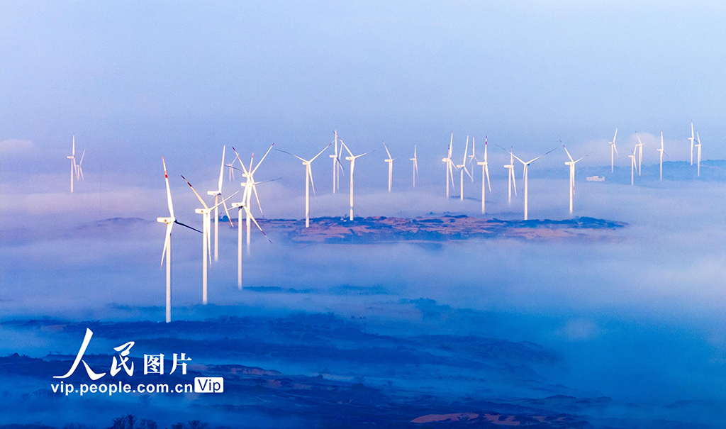 江西鄱陽湖：“風”景如畫【7】