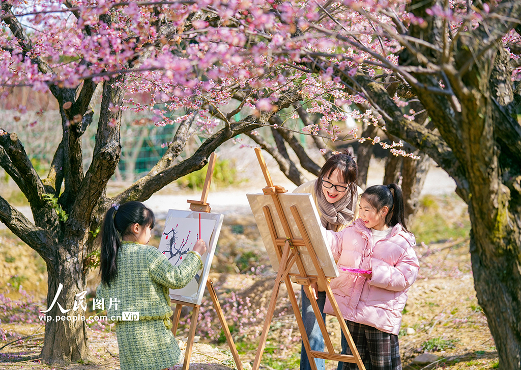浙江長興：梅園寫生