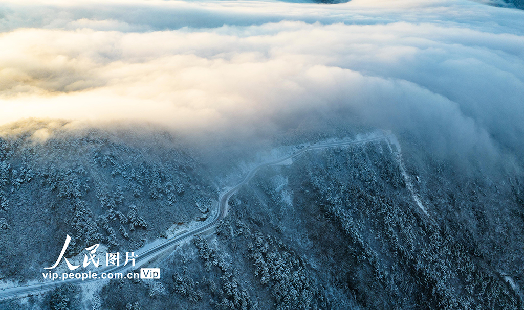 浙江杭州：太子尖銀裝素裹【2】